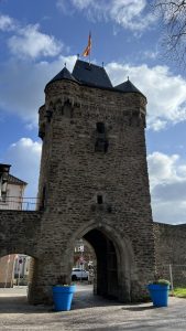 IMG 7308