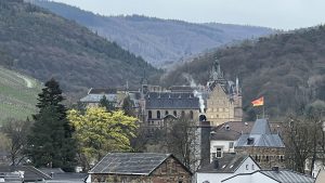 IMG 7398