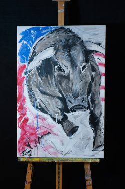 Bianca Thorn - Kunst und Malerei in Holzappel 109 Stierkampf