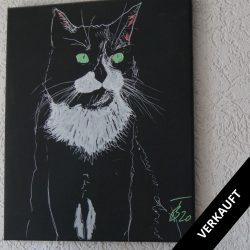 Bianca Thorn - Kunst und Malerei in Holzappel 108 Unser Kater Mio